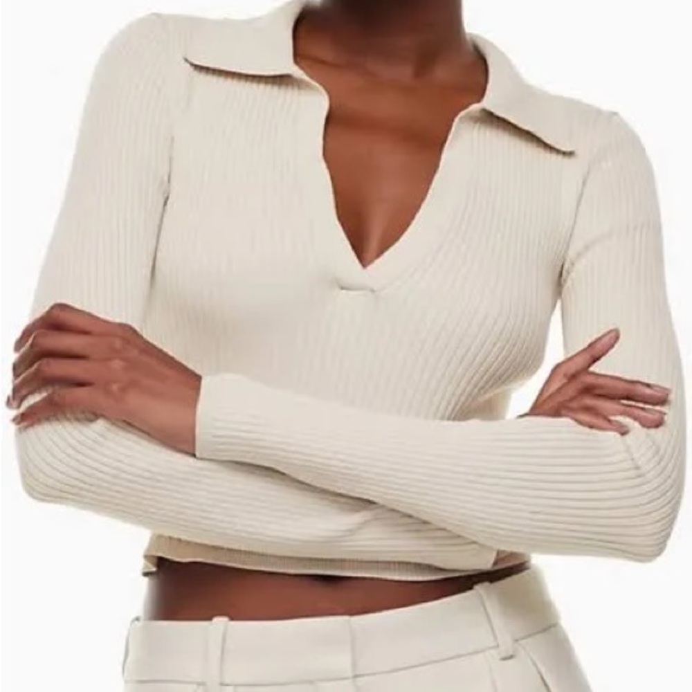 Aritzia Cropped Polo